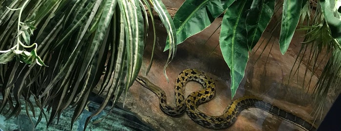 Parc Zoologique du Bois du Petit Chateau is one of Locais curtidos por Sophie.