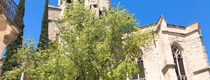 Place des Châtaignes is one of Avignon Tour.
