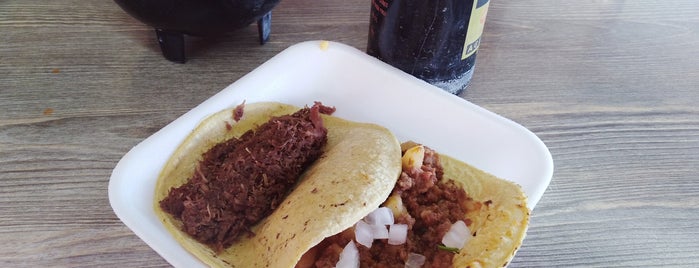 Taquería Regia is one of Tacos y más tacos.