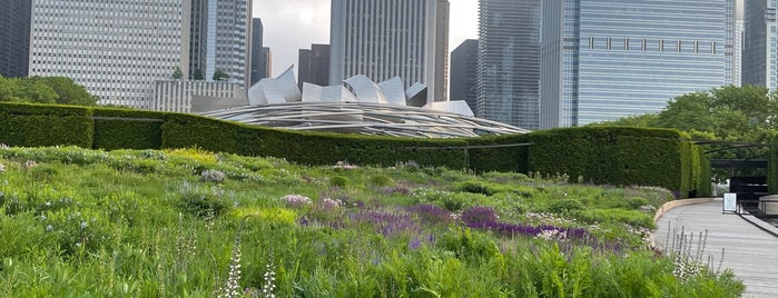 Lurie Garden is one of Chicago Food Places (Amongst other things).