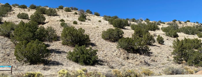 Cerrillos Hills State Park is one of New Mexico.