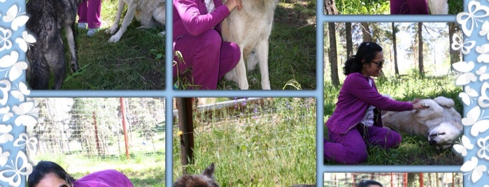 Colorado Wolf and Wildlife Center is one of Lieux qui ont plu à Liz.