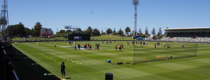 McLean Park is one of Sports Venues.