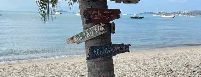 Bang Rak Beach is one of Koh Samui (Thailand).