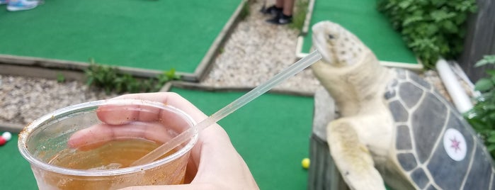 Brooklyn Crab Mini Golf is one of So Much Room For Activities!.