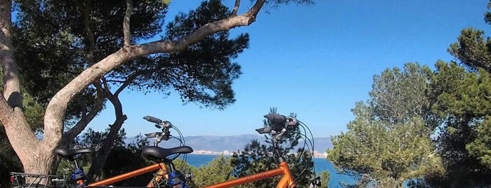 MOBIKE is one of Mallorca.