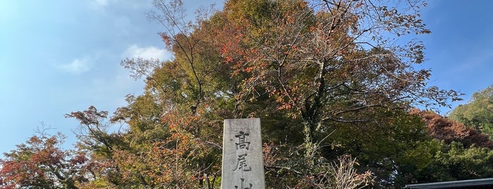 高尾山薬王院別院不動院 is one of ・除外.