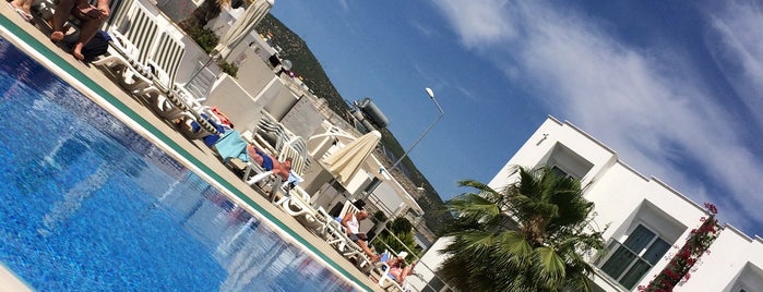 Club Shark Hotel is one of Bodrum.