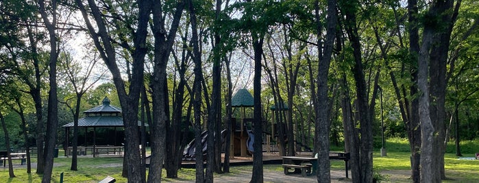 The Preserve At McCormick Park  is one of Colin : понравившиеся места.