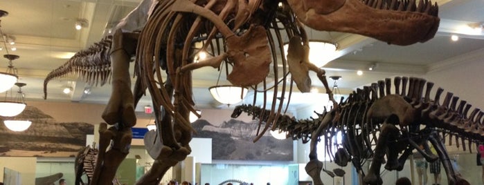 アメリカ自然史博物館 is one of Best places to see dinosaurs.