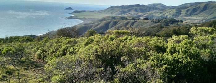 Andrew Molera State Park is one of america the beautiful.
