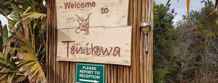 Tenikwa Rehabilitation & Awareness Centre is one of South Africa Restaurants+hotels.