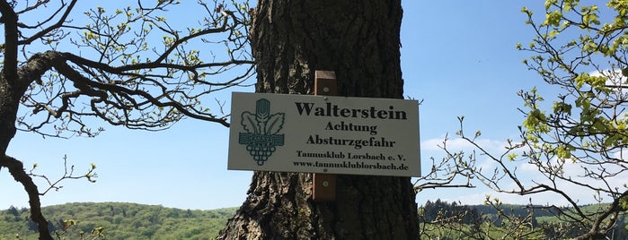 Lorsbacher Wand is one of Klettern.