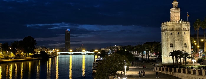 San Telmo Bridge is one of Sevilla.