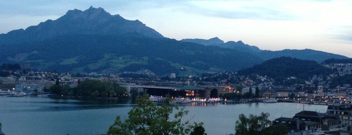 Scala is one of lucerne.