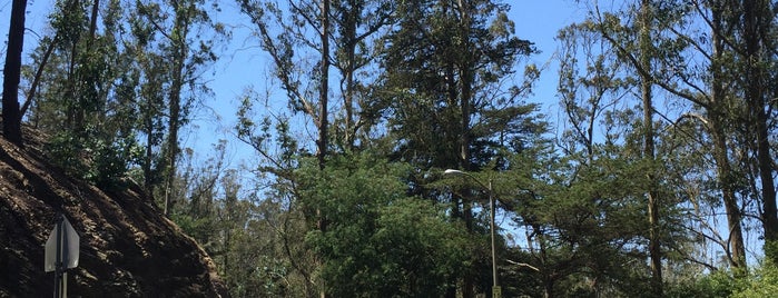 Mount Sutro Summit is one of Favorite places to mountain bike in and around SF.