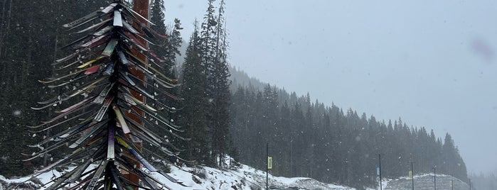 Mount Norquay Lodge is one of Banff.