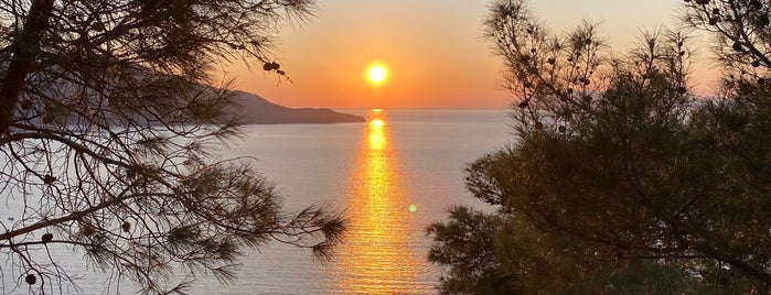 Büyük Boncuklu Koyu is one of Fethiye.