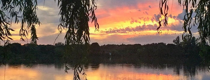 Lake Hiawatha is one of Around town.