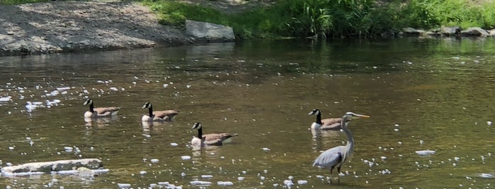 Rotary Park is one of Boston.