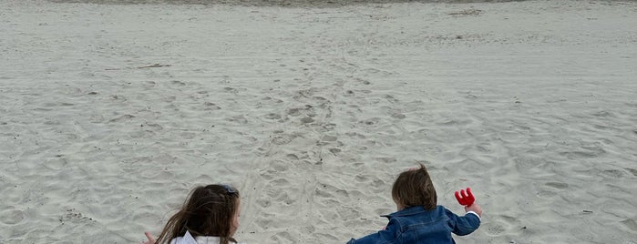 Islanders Beach Park is one of Hilton Head Favorites..