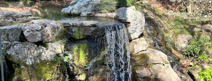 Garvan Woodland Gardens is one of Hot springs ar.