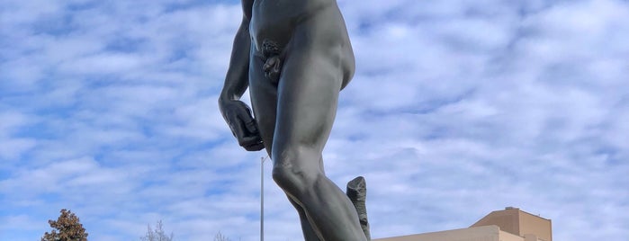 Statue of David is one of Famous Statues Around the World.