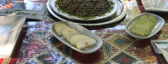 Akasya Çay Bahçesi is one of M.Metin'in Beğendiği Mekanlar.