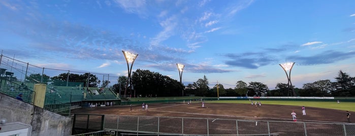 熊谷さくら運動公園野球場 is one of baseball stadiums.