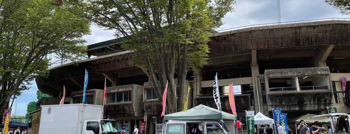 茨城県営球場 is one of baseball stadiums.