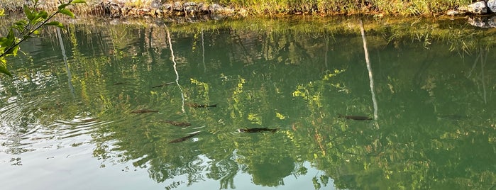 Ekin Kır Evi is one of Dalyan.