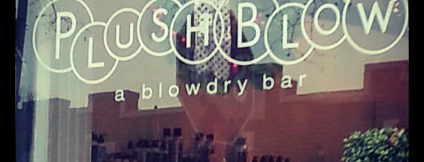 Plush Blowdry Bar is one of 95NYC2BOS.