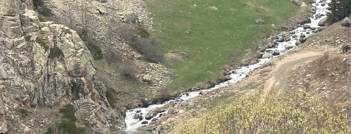 Demirkapı Yaylası is one of Trabzon.