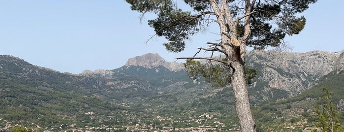 Mirador de Pujol de'n Banya is one of Spain.