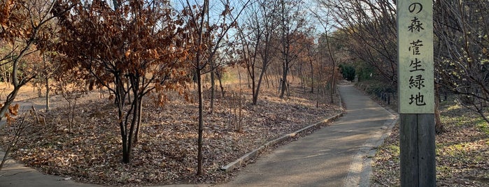 水沢の森 is one of 公園.