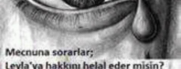 Mekece-Adapazarı Yolu is one of Ermanさんの保存済みスポット.