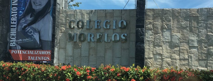 Colegio Morelos Lizardi is one of สถานที่ที่ Pedro ถูกใจ.