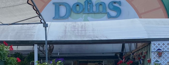 Dolin's Garden Center is one of been there done it.