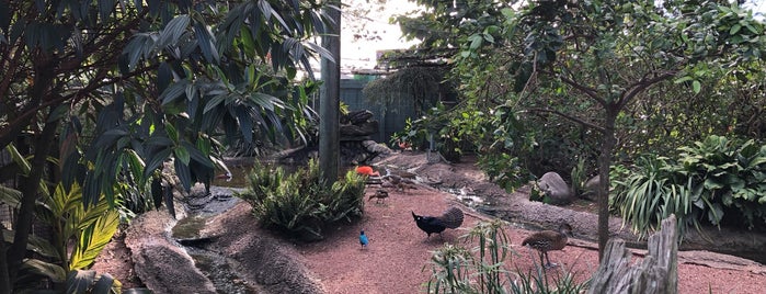 Bird Gardens is one of The 15 Best Zoos in Tampa.