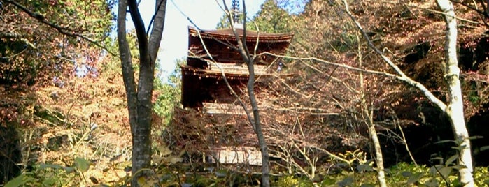 金剛輪寺 is one of 三重塔 / Three-storied Pagoda in Japan.