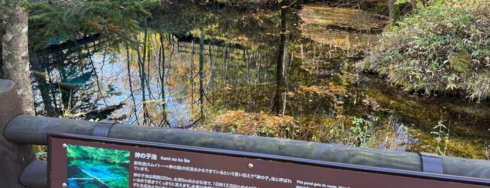 神の子池 is one of 北海道.
