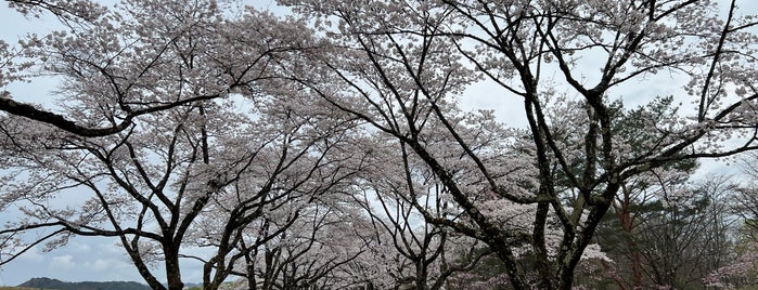 御所湖広域公園 is one of 子どもと遊ぶ（岩手県）.