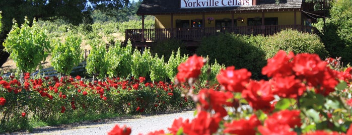Yorkville Cellars is one of mendocino trip.