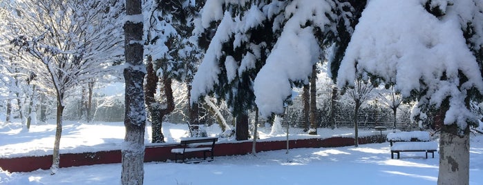 ANLAS Anadolu Lastik A.Ş. is one of Lieux qui ont plu à Metin.