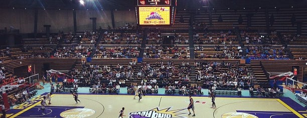 Ota City General Gymnasium is one of B.League Home Arena.