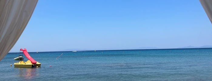Eden Beach is one of Athens south coast.