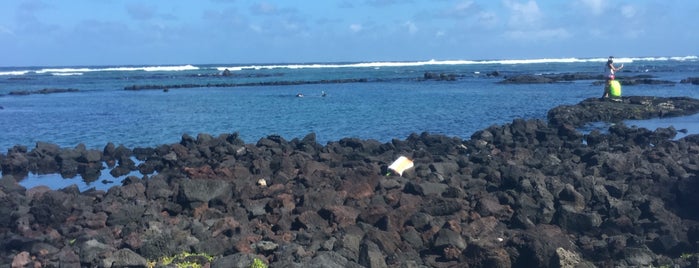 Kapoho Ponds is one of Hilo.