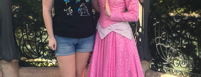 Princess Aurora Meet & Greet is one of Orlando/2013.