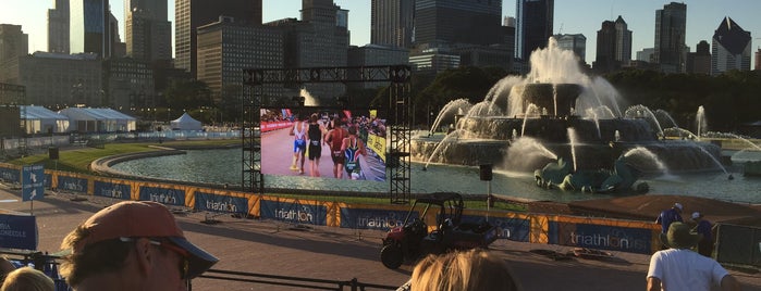 Chicago ITU World Championship is one of Brandon’s Liked Places.