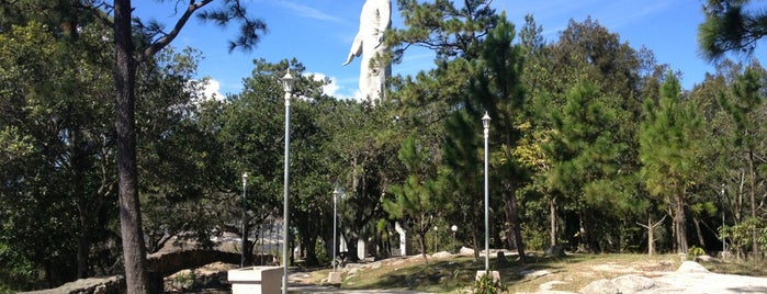 Parque Naciones Unidas "El Picacho" is one of Carlos'un Beğendiği Mekanlar.